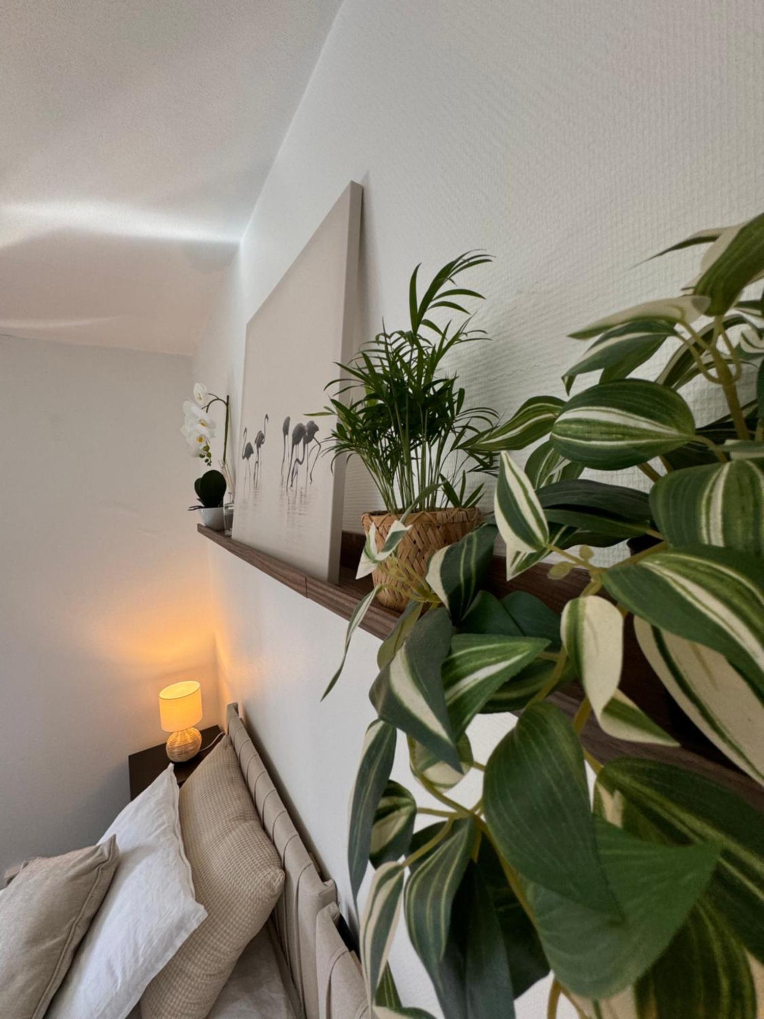 So Easy Stay, Malmoe المظهر الخارجي الصورة
